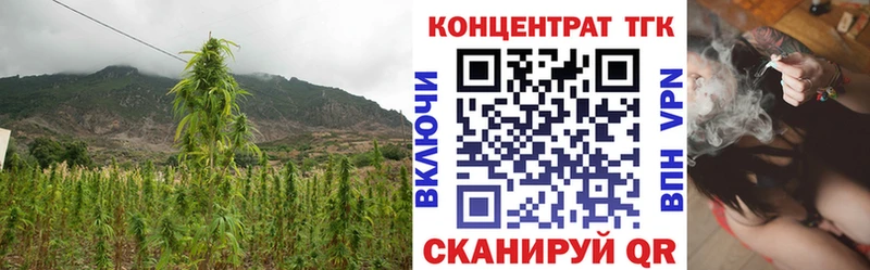 Дистиллят ТГК Wax Ивангород